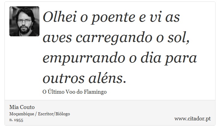Olhei o poente e vi as aves carregando o sol, empurrando o dia para outros aléns. - Mia Couto - Frases