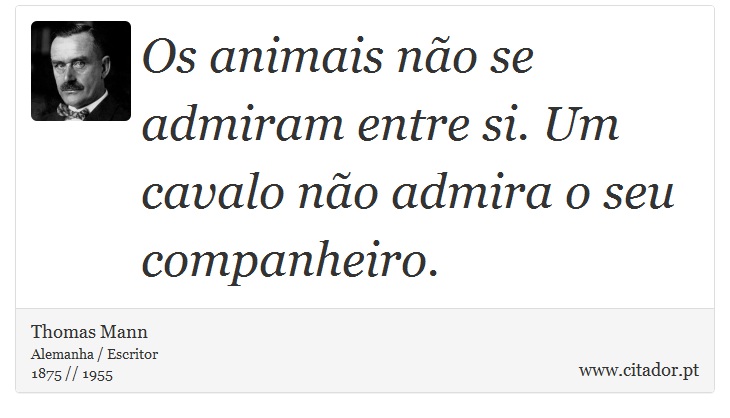 Os animais no se admiram entre si. Um cavalo no admira o seu companheiro. - Thomas Mann - Frases