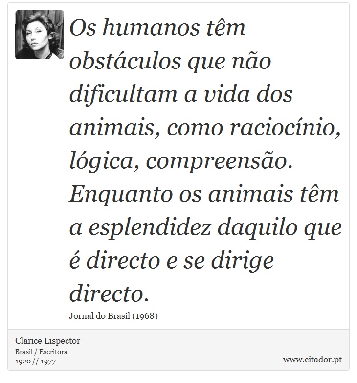 Os humanos têm obstáculos que não dificultam a vida dos animais, como raciocínio, lógica, compreensão. Enquanto os animais têm a esplendidez daquilo que é directo e se dirige directo. - Clarice Lispector - Frases