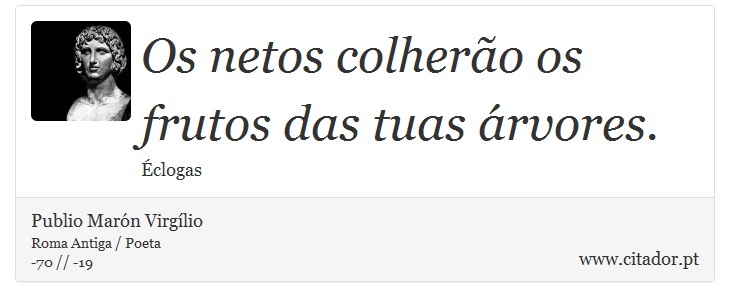 Os netos colherão os frutos das tuas árvores. - Publio Marón Virgílio - Frases