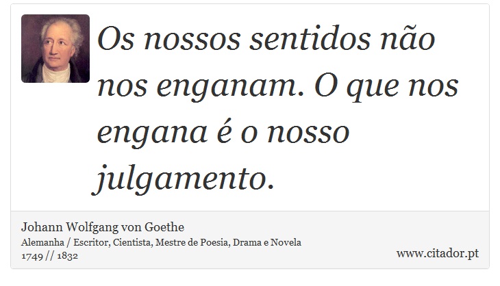 Os nossos sentidos não nos enganam. O que nos engana é o nosso julgamento. - Johann Wolfgang von Goethe - Frases