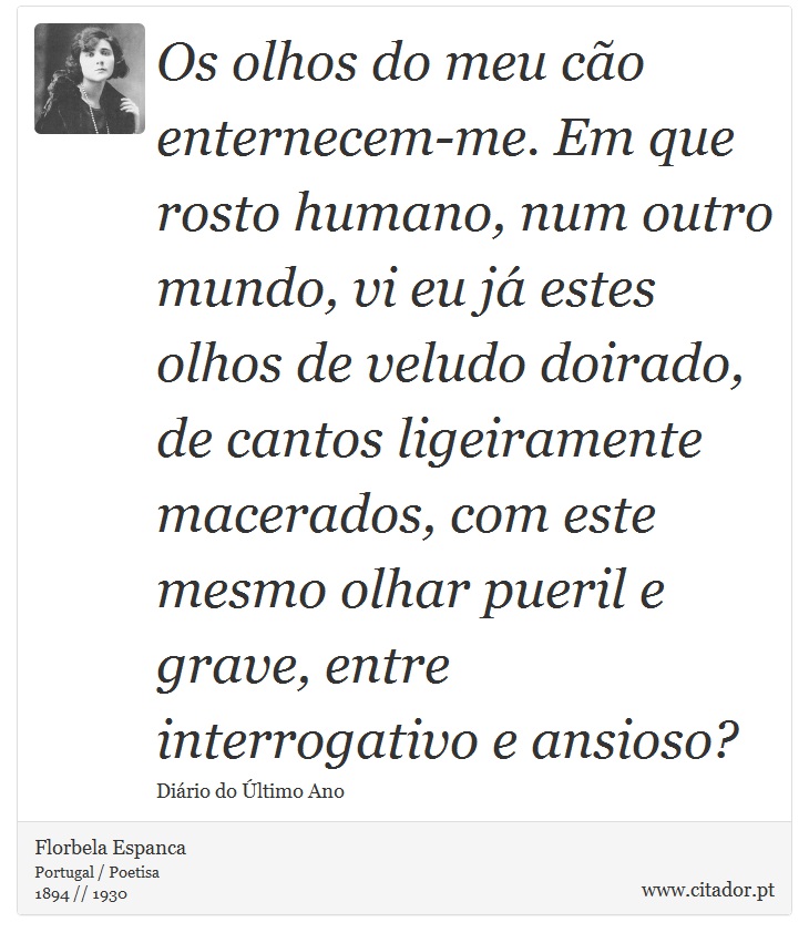 Os olhos do meu cão enternecem-me. Em que rosto humano, num outro mundo, vi eu já estes olhos de veludo doirado, de cantos ligeiramente macerados, com este mesmo olhar pueril e grave, entre interrogativo e ansioso? - Florbela Espanca - Frases