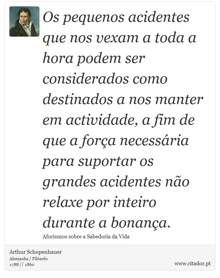 Os pequenos acidentes que nos vexam a toda a hora podem ser considerados como destinados a nos manter em actividade, a fim de que a força necessária para suportar os grandes acidentes não relaxe por inteiro durante a bonança. - Arthur Schopenhauer - Frases