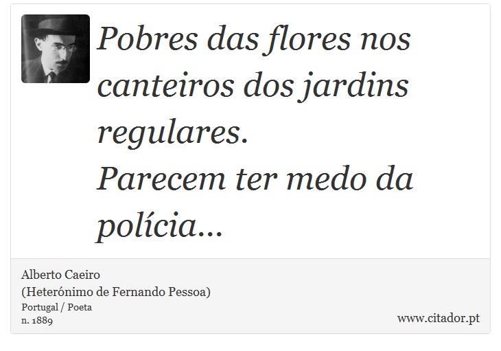 Pobres das flores nos canteiros dos jardins regulares.<br />

Parecem ter medo da polícia... - Alberto Caeiro<BR>(Heterónimo de Fernando Pessoa) - Frases