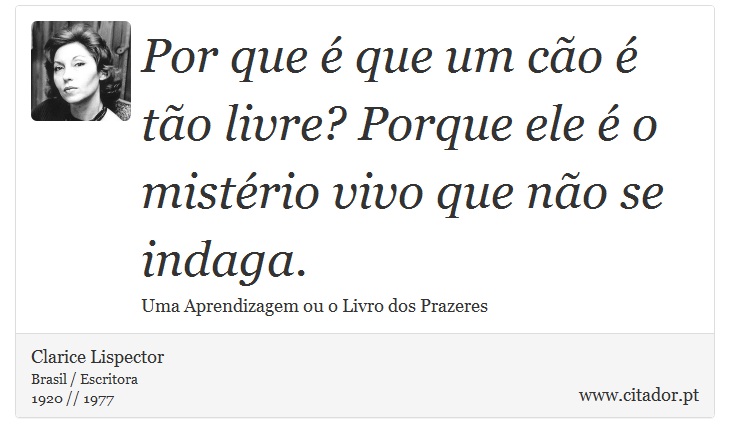 Por que é que um cão é tão livre? Porque ele é o mistério vivo que não se indaga. - Clarice Lispector - Frases