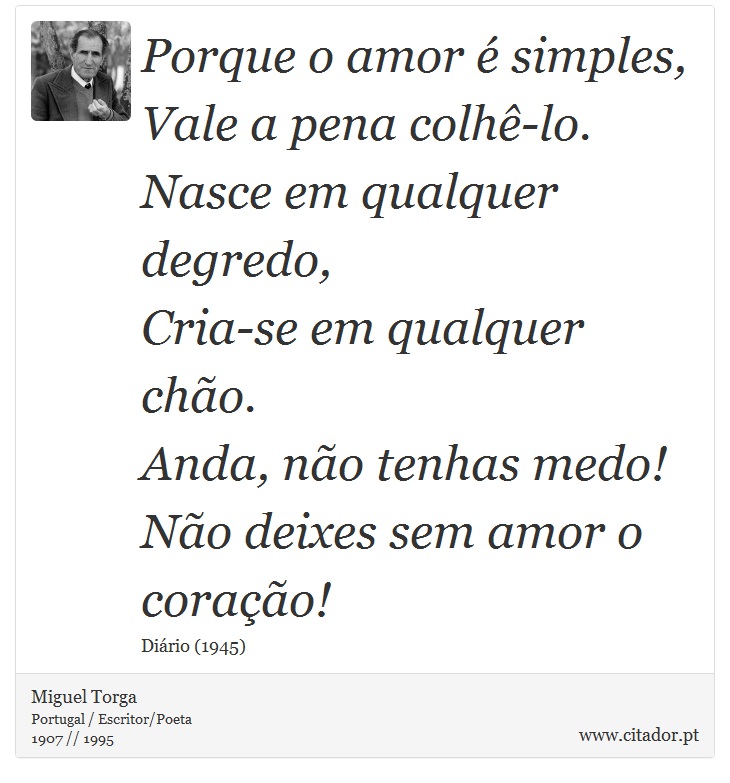 Porque o amor é simples,<br />
Vale a pena colhê-lo.<br />
Nasce em qualquer degredo,<br />
Cria-se em qualquer chão.<br />
Anda, não tenhas medo!<br />
Não deixes sem amor o coração! - Miguel Torga - Frases