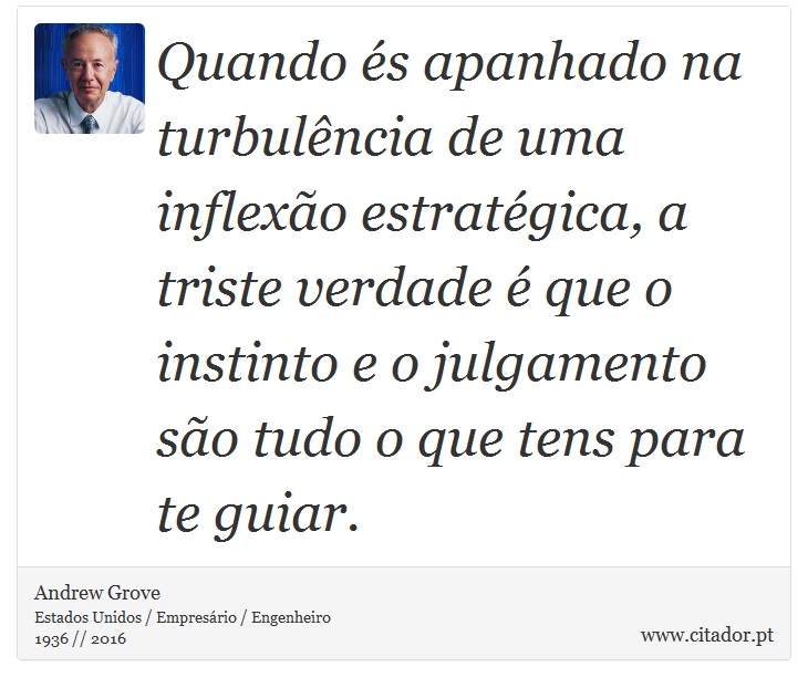 Quando és apanhado na turbulência de uma inflexão estratégica, a triste verdade é que o instinto e o julgamento são tudo o que tens para te guiar. - Andrew Grove - Frases