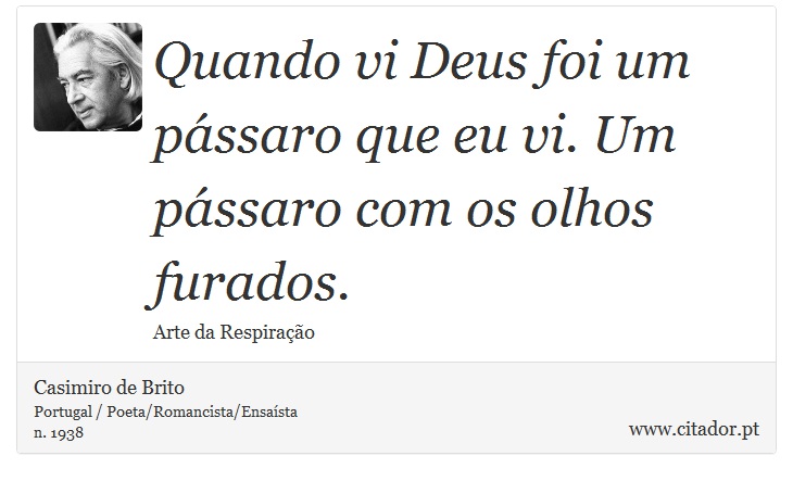 Quando vi Deus foi um pássaro que eu vi. Um pássaro com os olhos furados. - Casimiro de Brito - Frases