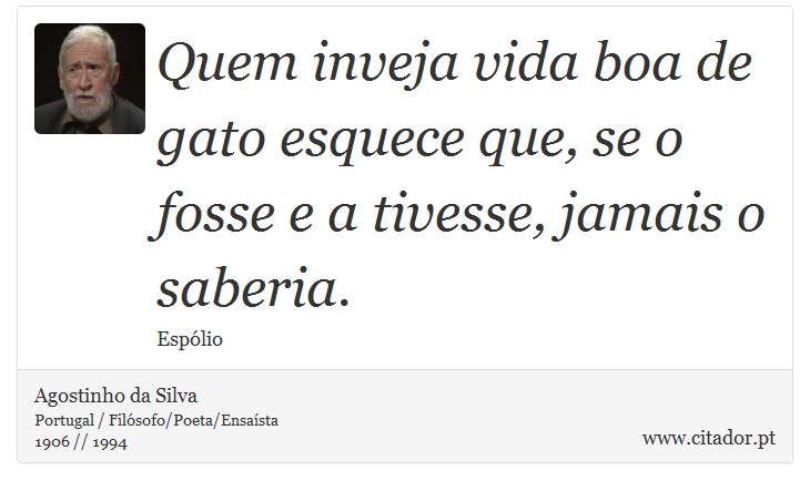 Quem inveja vida boa de gato esquece que, se o fosse e a tivesse, jamais o saberia. - Agostinho da Silva - Frases