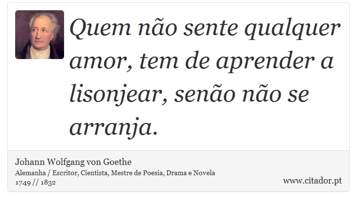 Quem não sente qualquer amor, tem de aprender a lisonjear, senão não se arranja. - Johann Wolfgang von Goethe - Frases