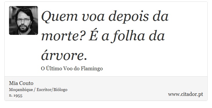 Quem voa depois da morte? É a folha da árvore. - Mia Couto - Frases