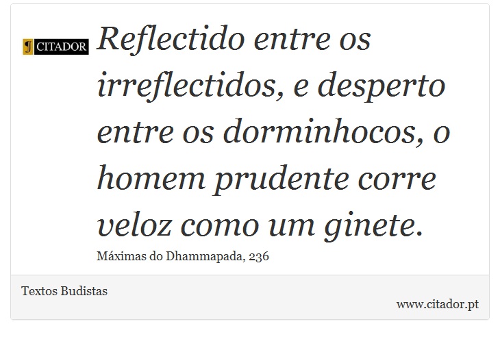 Reflectido entre os irreflectidos, e desperto entre os dorminhocos, o homem prudente corre veloz como um ginete. - Textos Budistas - Frases
