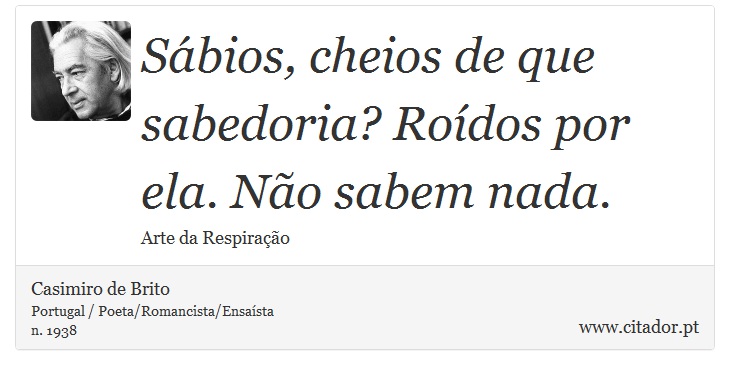 Sábios, cheios de que sabedoria? Roídos por ela. Não sabem nada. - Casimiro de Brito - Frases