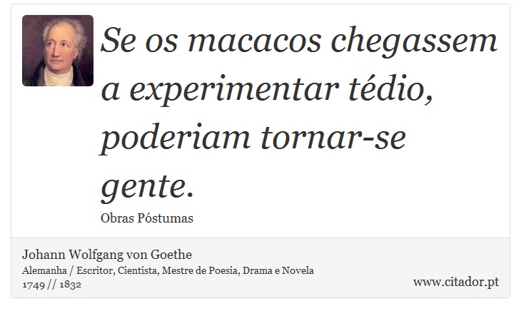 Se os macacos chegassem a experimentar tédio, poderiam tornar-se gente. - Johann Wolfgang von Goethe - Frases