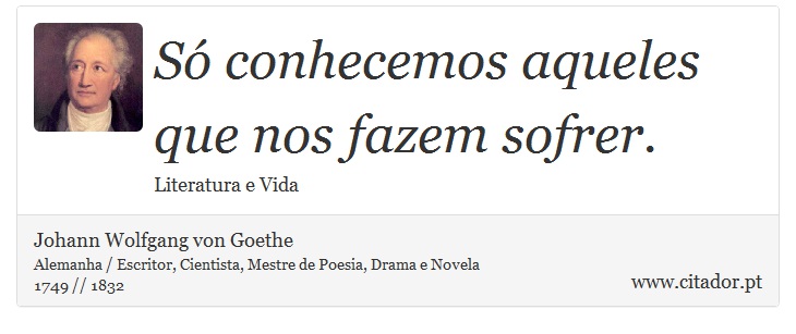 Só conhecemos aqueles que nos fazem sofrer. - Johann Wolfgang von Goethe - Frases
