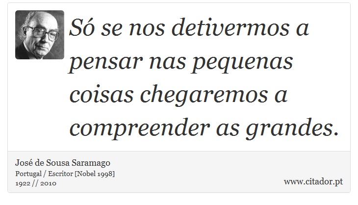 Só se nos detivermos a pensar nas pequenas coisas chegaremos a compreender as grandes. - José Saramago - Frases
