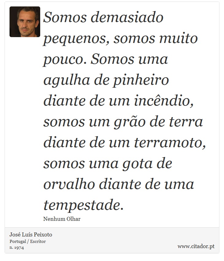Somos demasiado pequenos, somos muito pouco. Somos uma agulha de pinheiro diante de um incêndio, somos um grão de terra diante de um terramoto, somos uma gota de orvalho diante de uma tempestade. - José Luís Peixoto - Frases