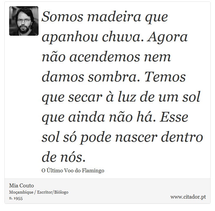Somos madeira que apanhou chuva. Agora não acendemos nem damos sombra. Temos que secar à luz de um sol que ainda não há. Esse sol só pode nascer dentro de nós. - Mia Couto - Frases