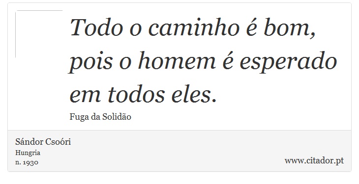 Todo o caminho é bom, pois o homem é esperado em todos eles. - Sándor Csoóri - Frases