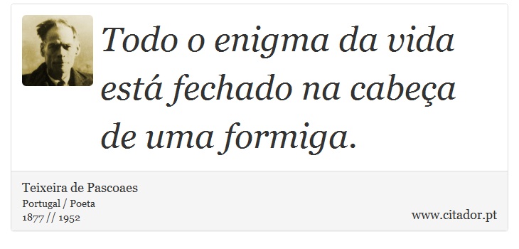 Todo o enigma da vida está fechado na cabeça de uma formiga. - Teixeira de Pascoaes - Frases