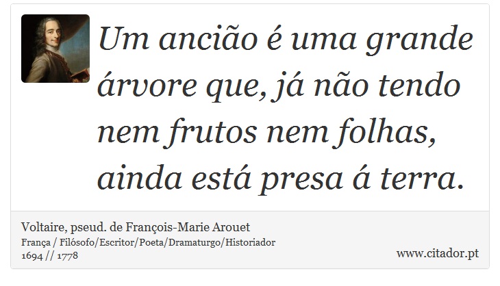 Um ancião é uma grande árvore que, já não tendo nem frutos nem folhas, ainda está presa á terra. - Voltaire, pseud. de François-Marie Arouet - Frases
