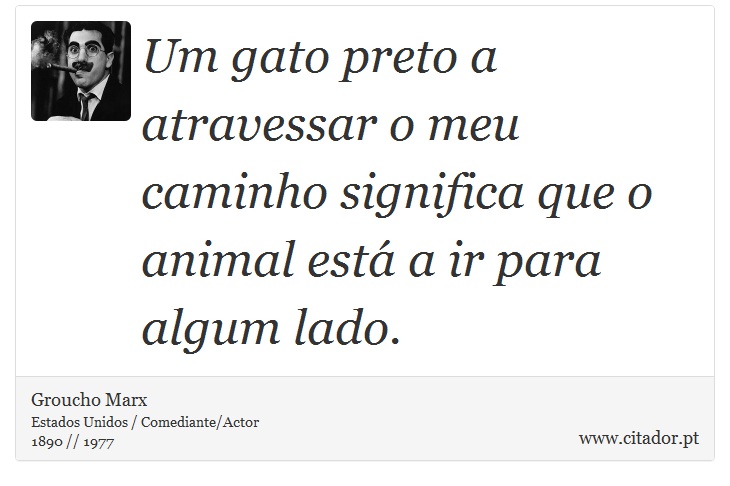 Um gato preto a atravessar o meu caminho significa que o animal está a ir para algum lado. - Groucho Marx - Frases