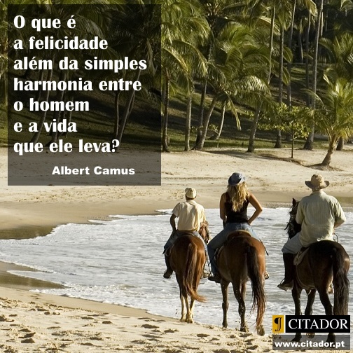 A Simples Harmonia - Albert Camus : O que é a felicidade além da simples harmonia entre o homem e a vida que ele leva?