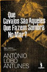 Que Cavalos São Aqueles Que Fazem Sombra No Mar?