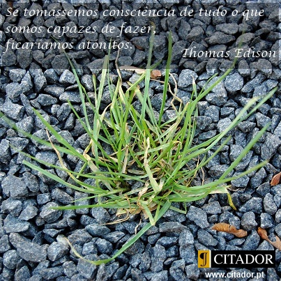 O que Somos Capazes de Fazer - Thomas Alva Edison : Se tomássemos consciência de tudo o que somos capazes de fazer, ficaríamos atónitos.