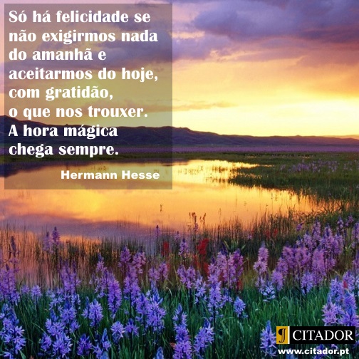 A Hora Mágica - Herman Hesse : Só há felicidade se não exigirmos nada do amanhã e aceitarmos do hoje, com gratidão, o que nos trouxer. A hora mágica chega sempre.