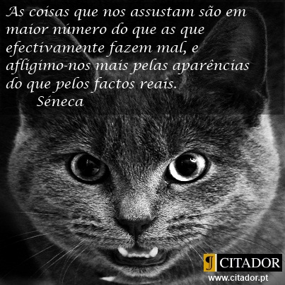 As Coisas que Nos Assustam - Lucius Annaeus Seneca : As coisas que nos assustam são em maior número do que as que efectivamente fazem mal, e afligimo-nos mais pelas aparências do que pelos factos reais.