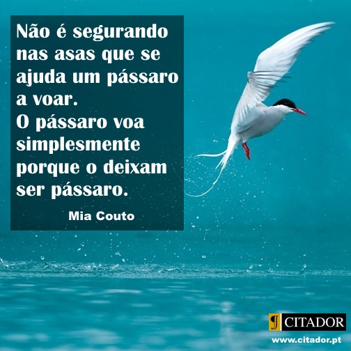 Deixar Ser - Mia Couto : Não é segurando nas asas que se ajuda um pássaro a voar. O pássaro voa simplesmente porque o deixam ser pássaro.