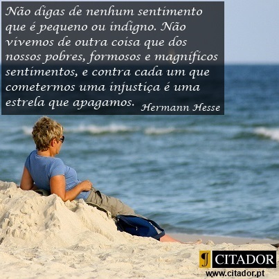 A Grandeza dos Sentimentos - Herman Hesse : Não digas de nenhum sentimento que é pequeno ou indigno. Não vivemos de outra coisa que dos nossos pobres, formosos e magníficos sentimentos, e contra cada um que cometermos uma injustiça é uma estrela que apagamos.